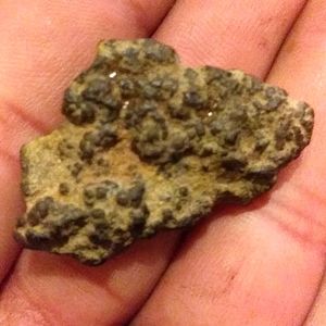 Stoney very rare Martian Meteorite 8.91 grams